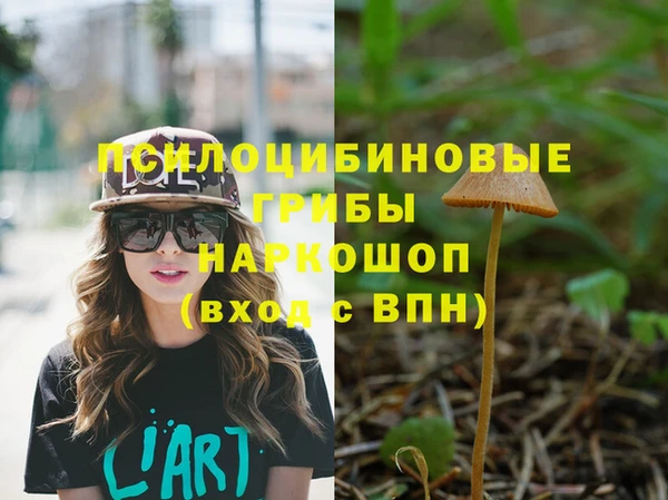 бутират Белокуриха